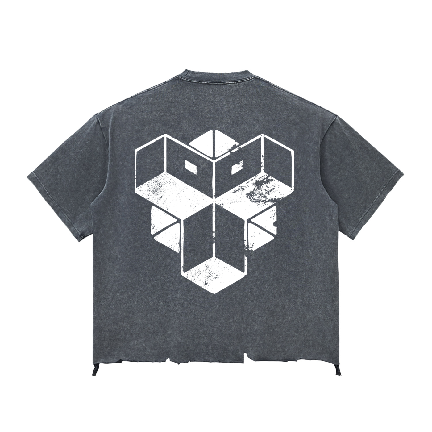 Snow Wash Raw-Hem Boxy T-shirt